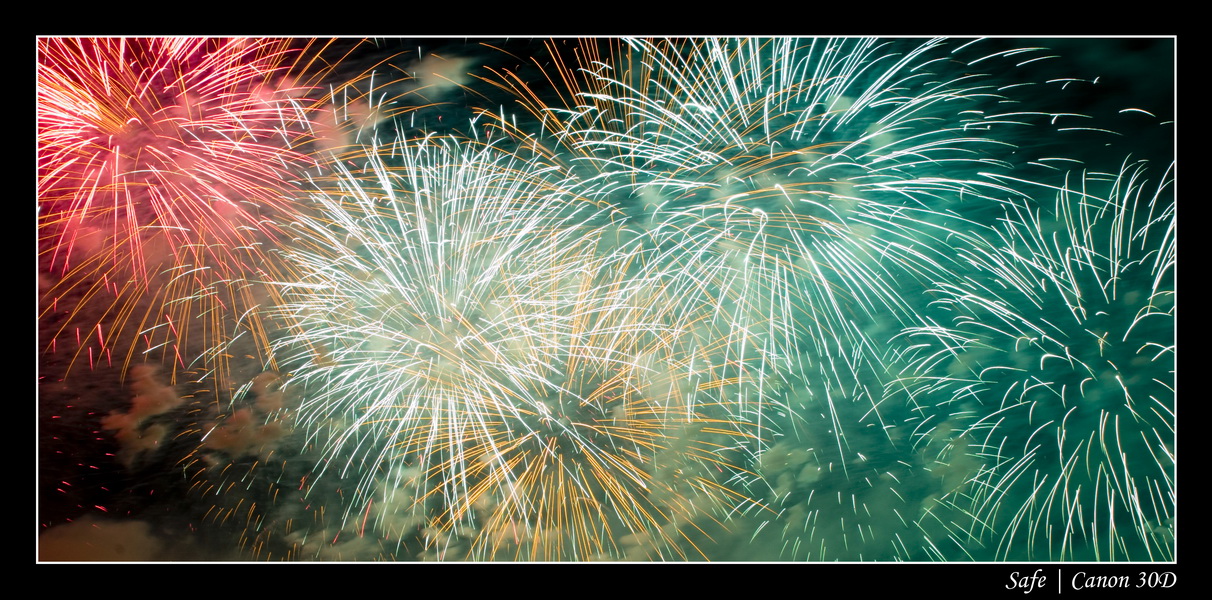 2008 - 07 - Feux de Chantilly - 066